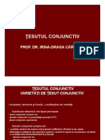 curs_5_tesutul_conjunctiv_ppt-converted