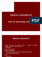 curs_3_tesutul_conjunctiv_ppt-converted