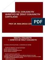 curs_6_tesutul_conjunctiv_ppt-converted