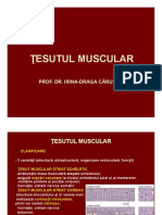 Curs 8 Tesutul Muscular PPT