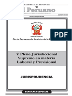 V pleno casatorio.pdf