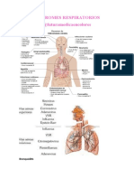 Sindromes Respiratorios