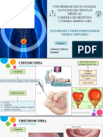 Exámenes Complementarios Nefro-Urinario