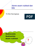 Metabolisme Asam Nukleat Dan Nukleotida