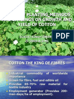 Effect of Planting Methods and Spacings On Growth and Yield of Cotton