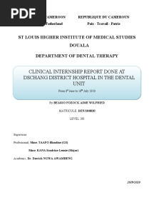 Report Clinical Internship at Dschang District Hospital