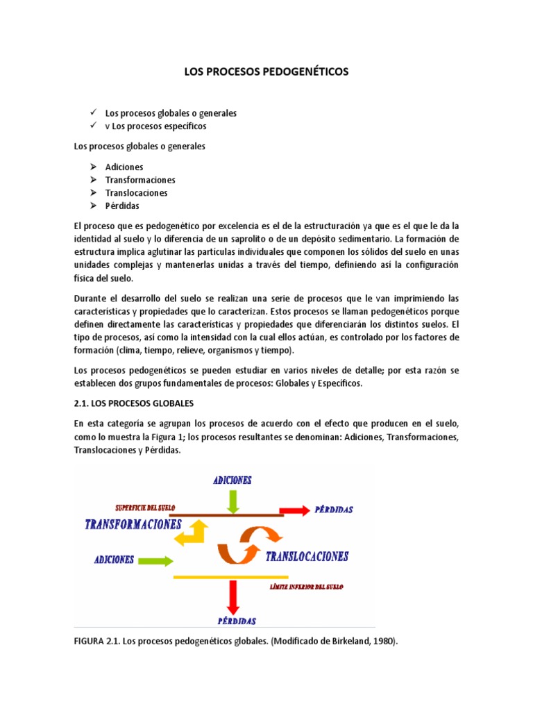 Procesos Pedogenéticos del Suelo | PDF | Suelo | Geografía Física