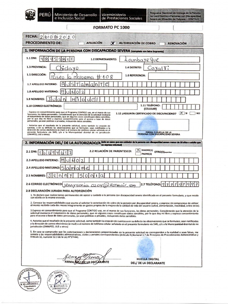Formato PC 1000 PDF | PDF