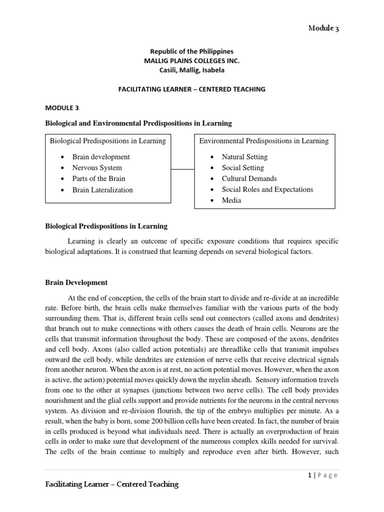 Module 3 Facilitating Learner Centered Teaching Pdf Central