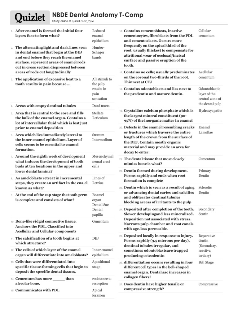NBDE Dental Anatomy Study Online at PDF Dentin Tooth Enamel