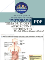 DIGESTION Y ABSORCION 