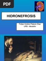 Download Hidronefrosis by fsoto_37 SN48588267 doc pdf