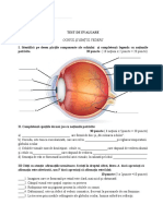 Test de Evaluare-Ochiul Și Simțul Vederii