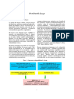 EYSI 1 - LECTURA GESTION DEL RIESGO.pdf