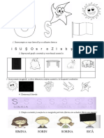 Fisa Sunetul Si Litera S