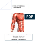 1-Muscles de L'épaule Et Du Bras