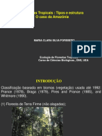 As florestas tropicais na AM_ tipos e estrutura _set 2015