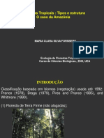 Tipos de florestas tropicais na Amazônia