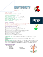 Proiect_activitate_matematica.doc