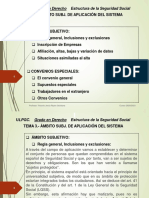 Tema 3. - Ámbito Subj. de Aplicación Del Sistema PDF