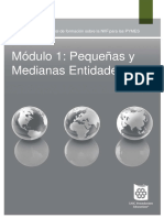 1_Pequenas y Medianas Entidades.pdf