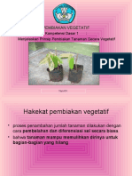 Vegetatif 1