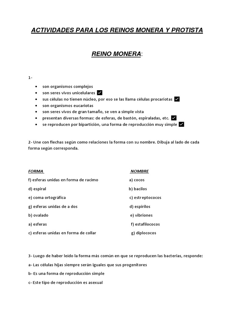 Actividades Reinos Monera y Protista | PDF | Yogur | Especialidades Medicas