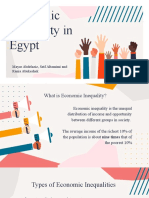 Economic Inequality in Egypt: Mayar Abdelaziz, Seif Altamimi and Rania Abukeshek