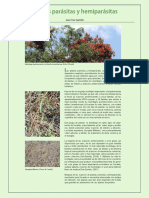 21 Plantas parasitas.pdf