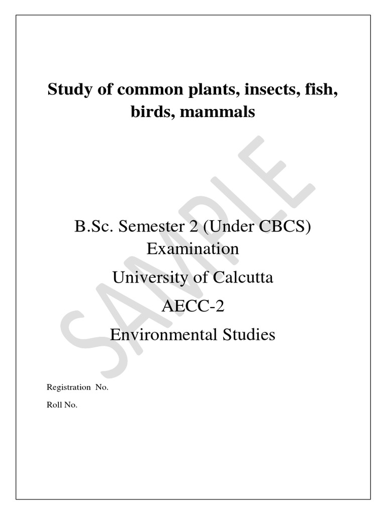 Evs Pdf Pdf Dogs Insects