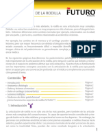 articulacion.pdf