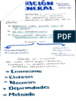 Nutriciónmineral1.pdf