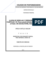 Lluvia de Semillas y Emergencia de Plantulas de Pinus Patula Schiede Ex Schltl. Et Cham. en Zacualtipám, Hidalgo