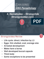 VMP 5265 Parasitology 4. Nematodes - Strongylida Strongyloidea Cont