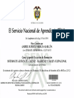 Certificado Sena SISO