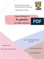 Esquemas Histológicos de Las Gónadas y Sus Orígenes Embrionarios