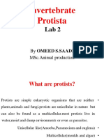 Invertebrate Protista: by Omeed S.Saadi MSC - Animal Production