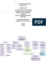 Mapa Conceptual Factores Riesgos Biologicos