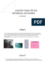 Maduración Ósea de Las Vertebras Cervicales