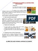 Investigar y Traer Imágenes de Acuerdo A La Materia Prima Seleccionada PDF