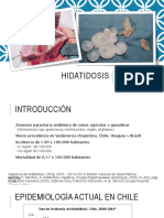 Hidatidosis 170928071008 PDF