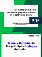 MIP Del Cafeto 2018 PDF