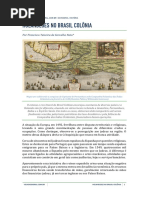 holandeses-no-brasil-colonia-2