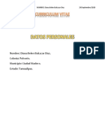 Curriculum BDDB PDF