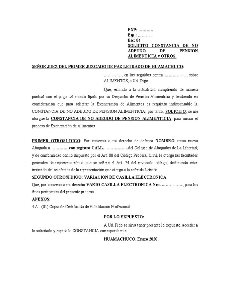 Escrito Solicito Constacia De No Adeudo De Alimentos Pdf