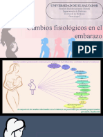 G6 Cambios Fisio Embarazo