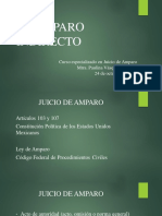 Amparo Indirecto Paulina Vásquez Pacheco PDF