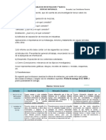 Informe 7° Basico.