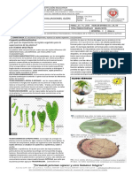 ciencias tejidos.pdf