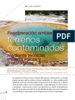 Dialnet-RecuperacionAmbientalDeTerrenosContaminadosMediant-3395295.pdf